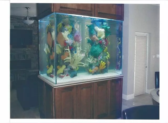Aquarium Solutions