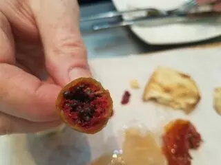Vino Volo