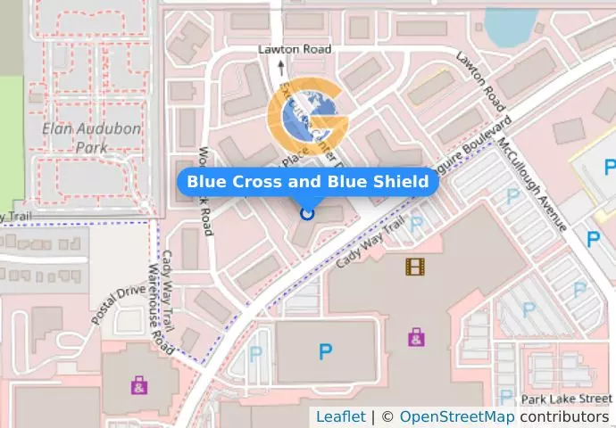 Blue Cross and Blue Shield