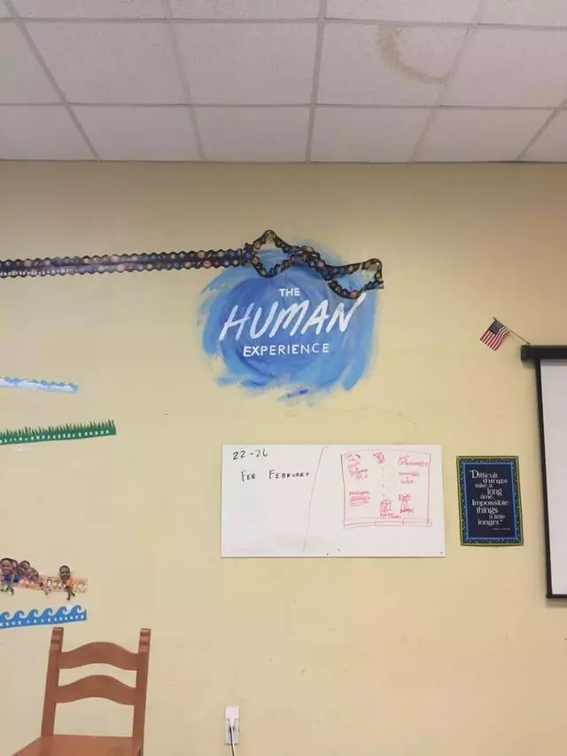 The Human Experience