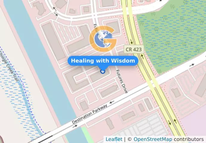 Healing with Wisdom