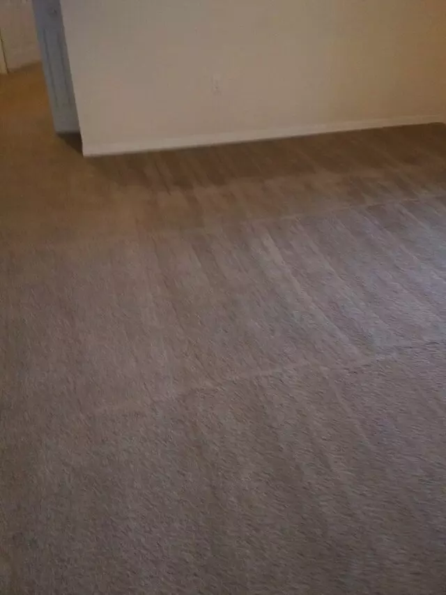 Miranda carpet steam cleaning