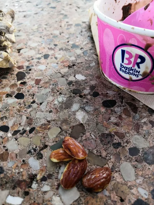 Baskin-Robbins