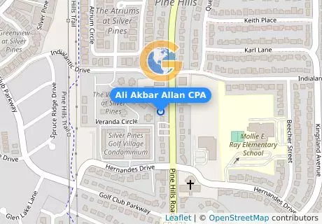 Ali Akbar Allan CPA