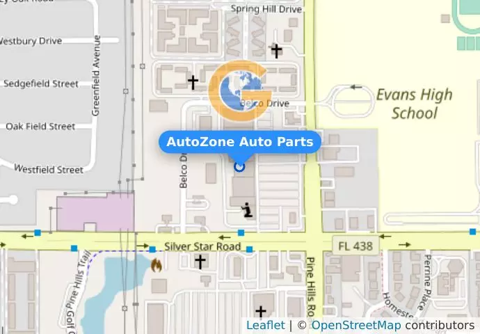 AutoZone Auto Parts