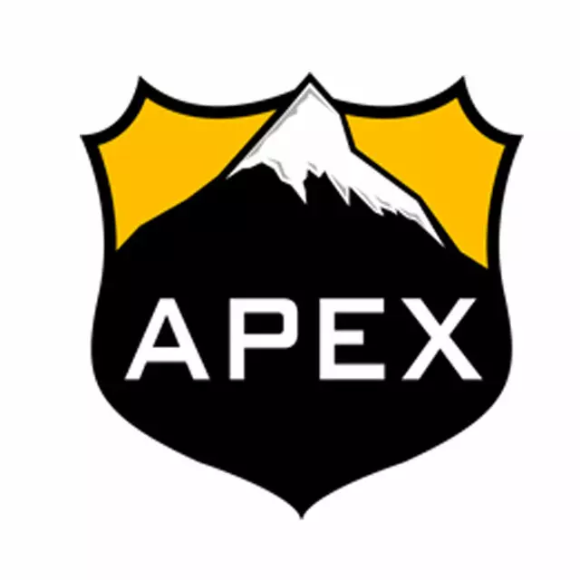 APEX Security