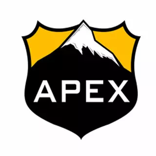 APEX Security