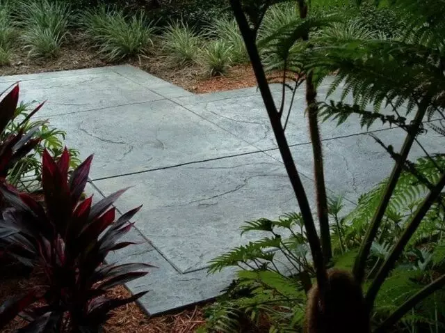 Decorative Concrete Complete
