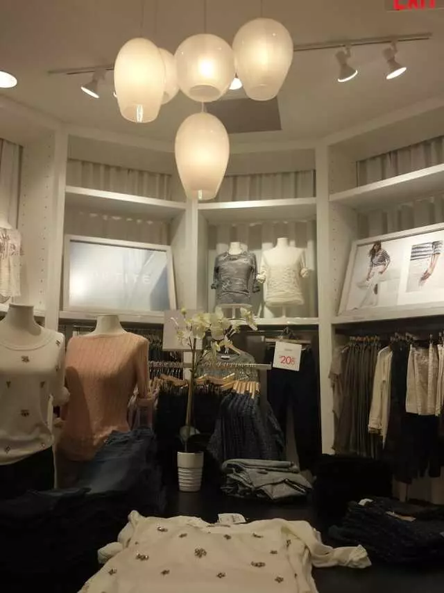 Ann Taylor