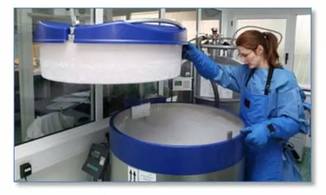 Compressed Gas Solutions