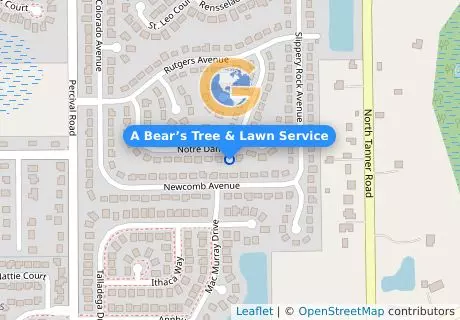 A Bear’s Tree & Lawn Service