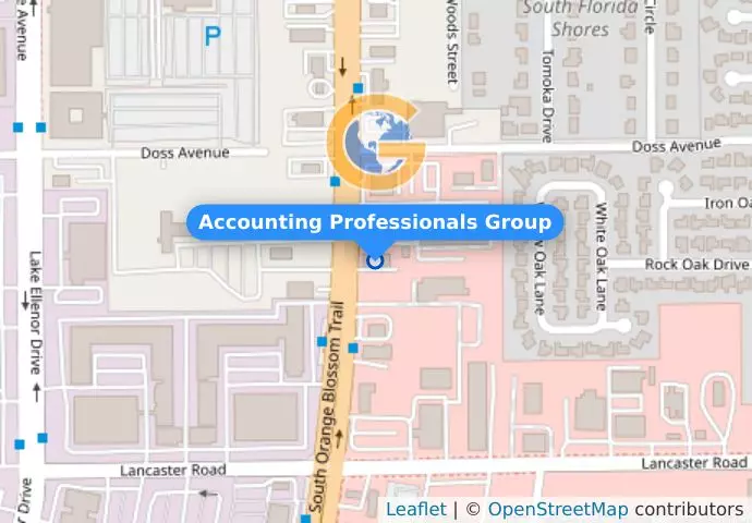 Accounting Professionals Group