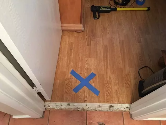 Above & Beyond Leak Detection