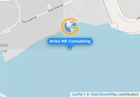 Aries HR Consulting