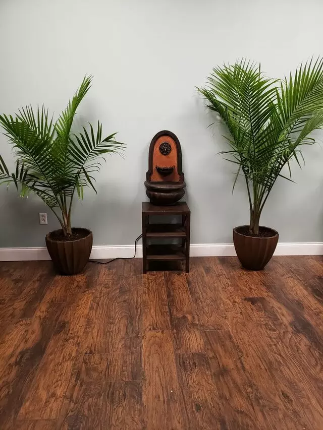 Your CBD Store - Orlando