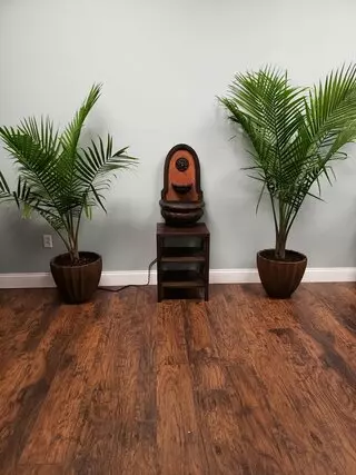 Your CBD Store - Orlando