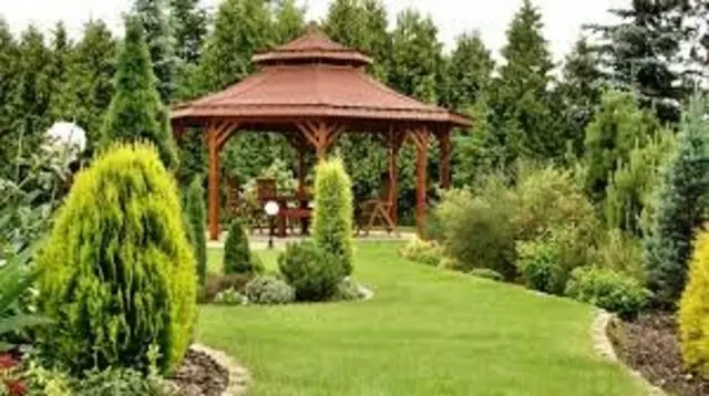 Ace Of Blades Landscaping & Lawn Care