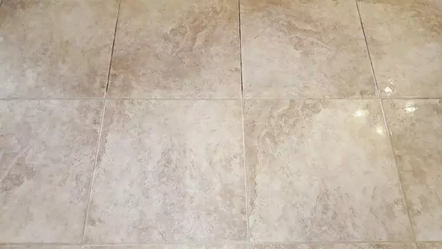 All Star Carpet & Tile Care