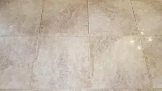 All Star Carpet & Tile Care