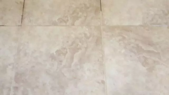 All Star Carpet & Tile Care