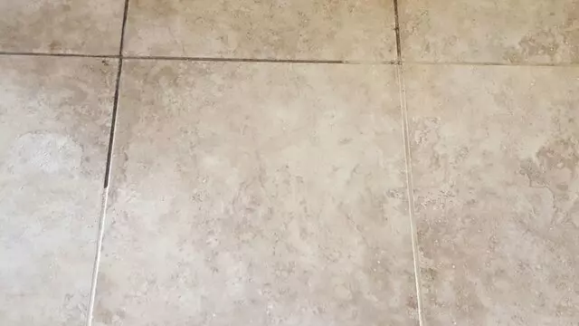All Star Carpet & Tile Care