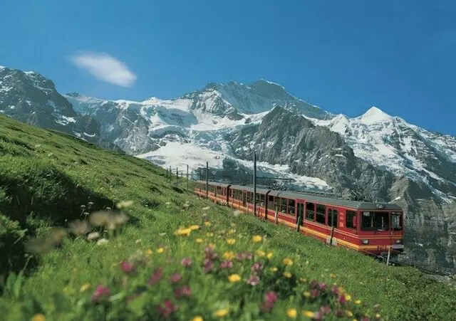 Let's Travel