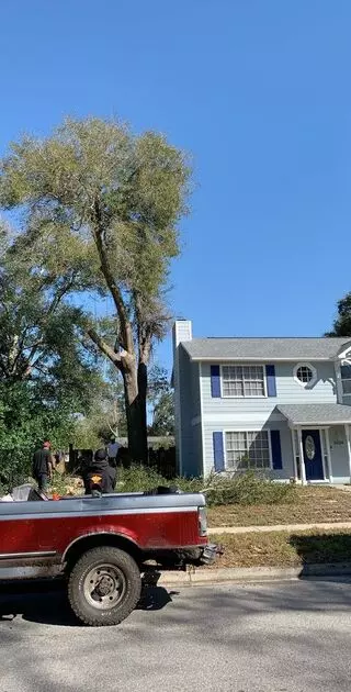 The Magic Rake Tree And Landscaping Service