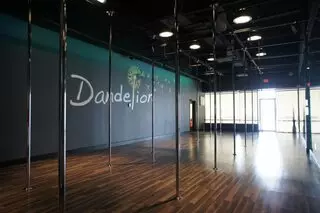 Dandelion