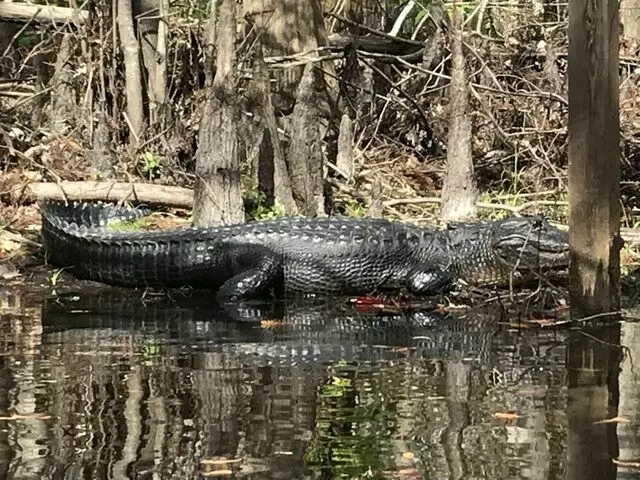 The Paddling Center At Shingle Creek