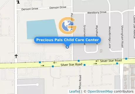 Precious Pals Child Care Center