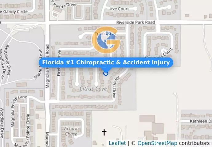 Florida #1 Chiropractic & Accident Injury