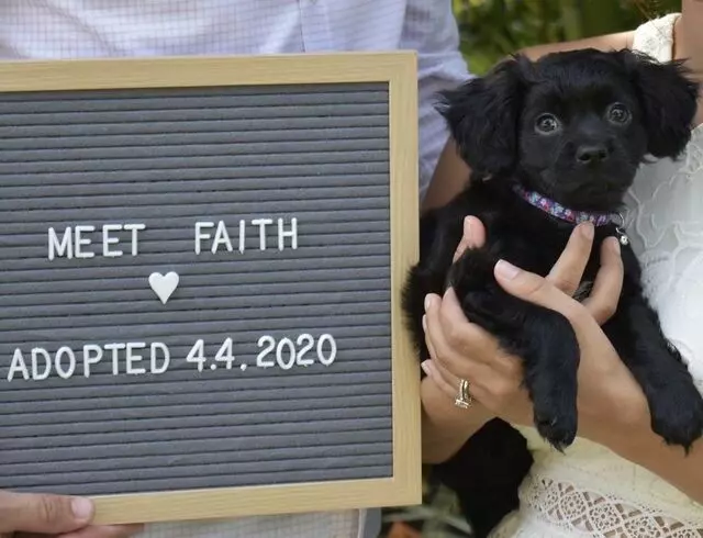 Puppy Pleasers Rescue