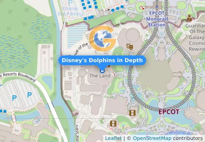 Disney&apos;s Dolphins in Depth