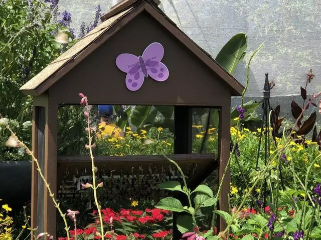 Bambi&apos;s Butterfly House