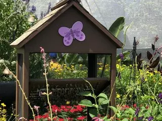 Bambi's Butterfly House