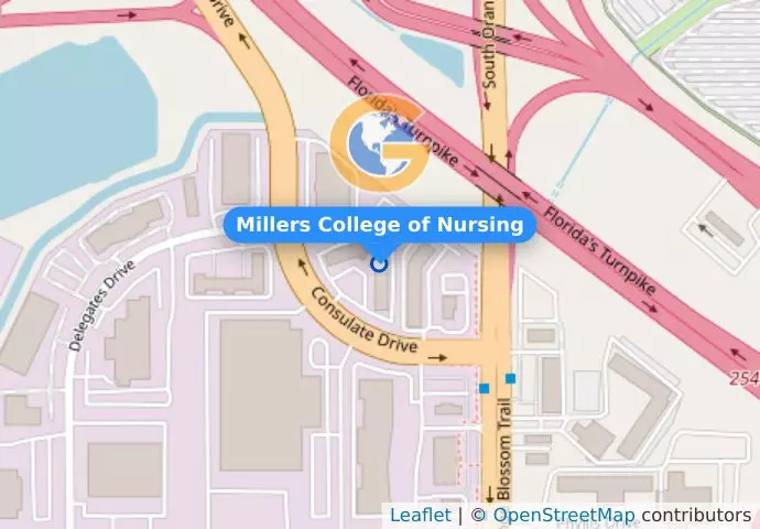 Millers College of Nursing