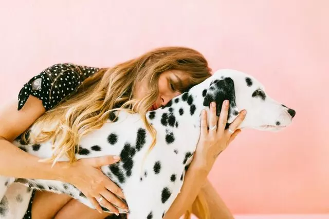 Avalon Veterinary Clinic