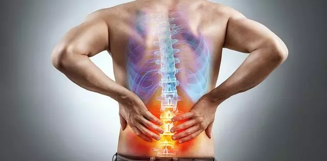 Auto Injury Specialists of Florida