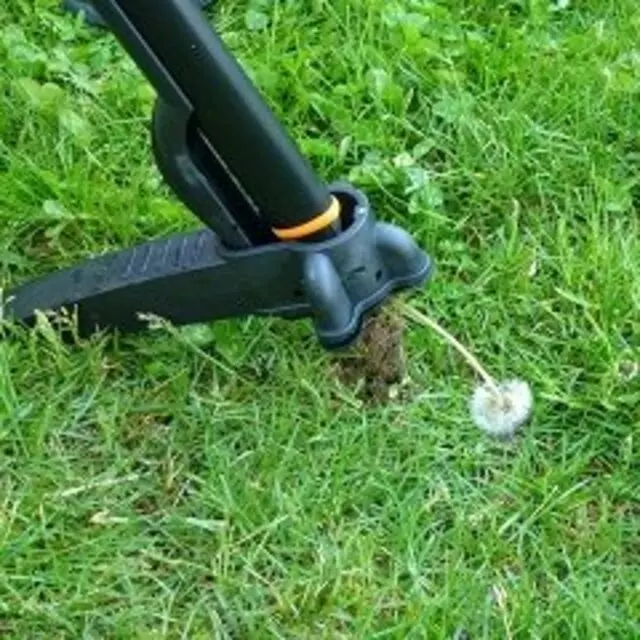 Lawn Care Orlando
