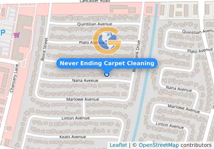 Never Ending Carpet Cleaning