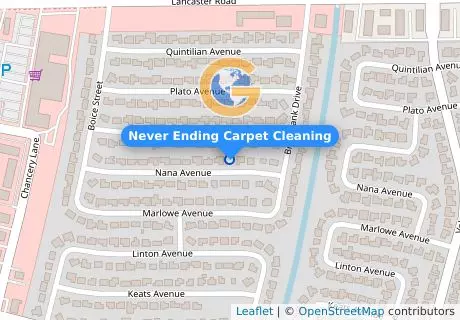 Never Ending Carpet Cleaning