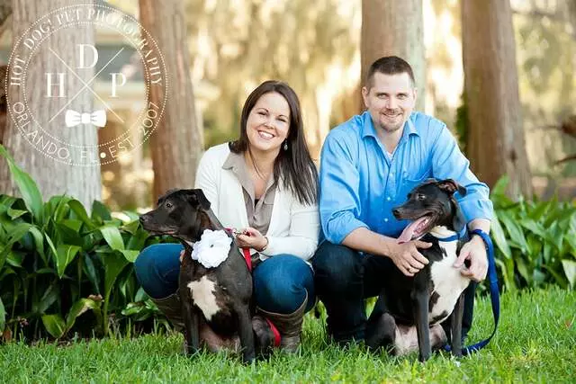 Hot Dog! Pet Photography