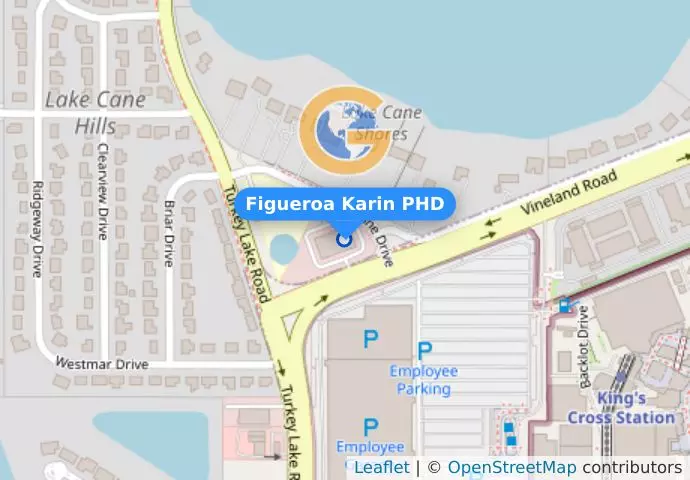 Figueroa Karin PHD