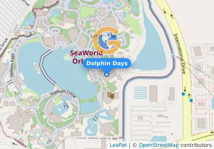 Dolphin Days