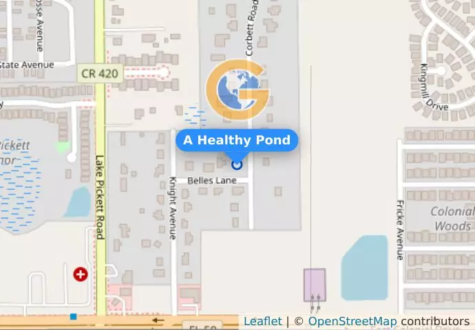 A Healthy Pond