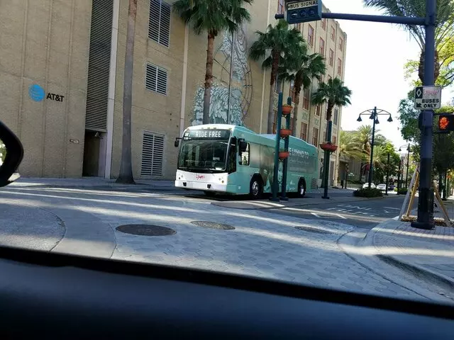 Lynx