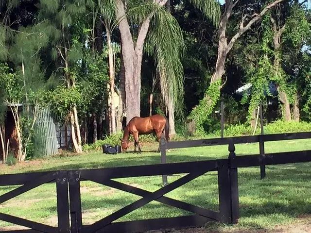 Long Lake Acres