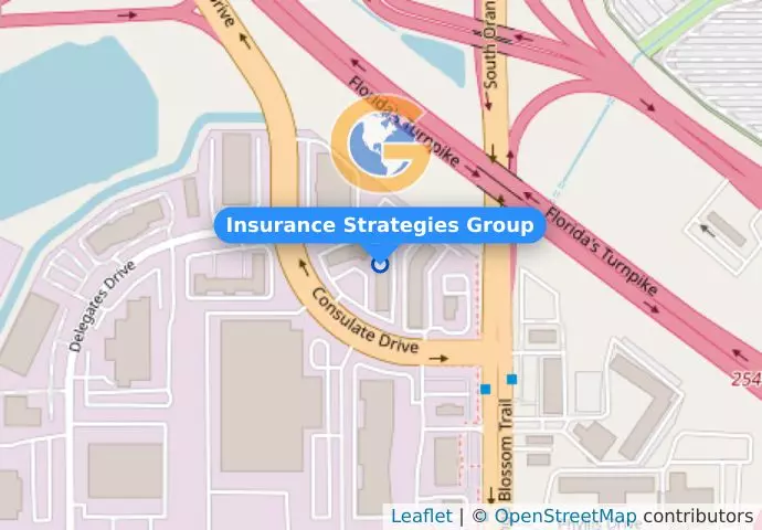 Insurance Strategies Group