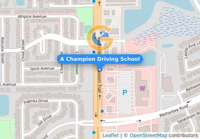 A Champion Driving School