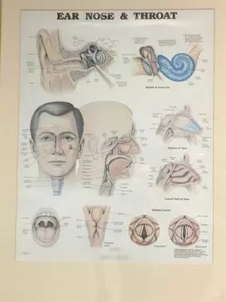 The Ear Nose Throat & Plastic Surgery Associates